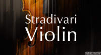 СԴNative InstrumentsCStradivari Violin 1.2.0 (KONTAKT)