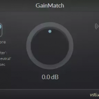 Letimix GainMatch v1.403b 221028Ч (WiN, R2R-REG-Referenced)-TCD.VST3.AAX