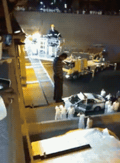 33684281_1398740882758_1024x1024.gif