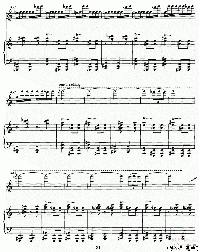 �ɸ�P31(���ָ���)1