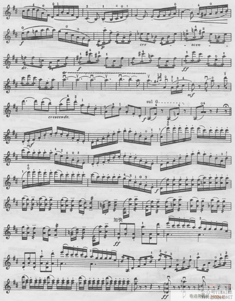 ����(������)6