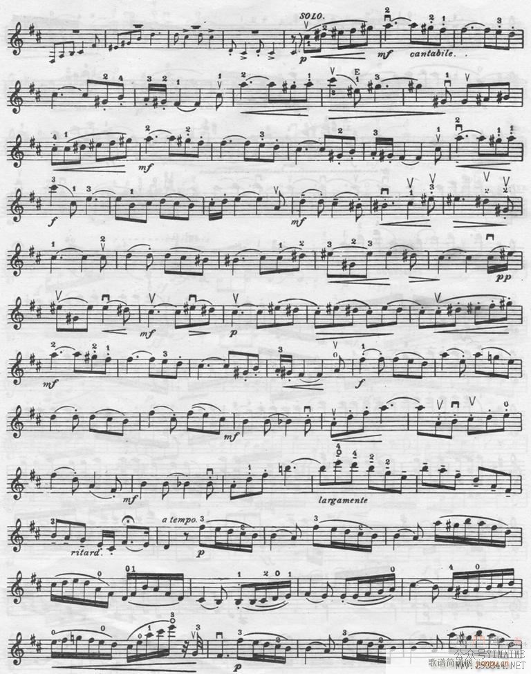 ����(������)5