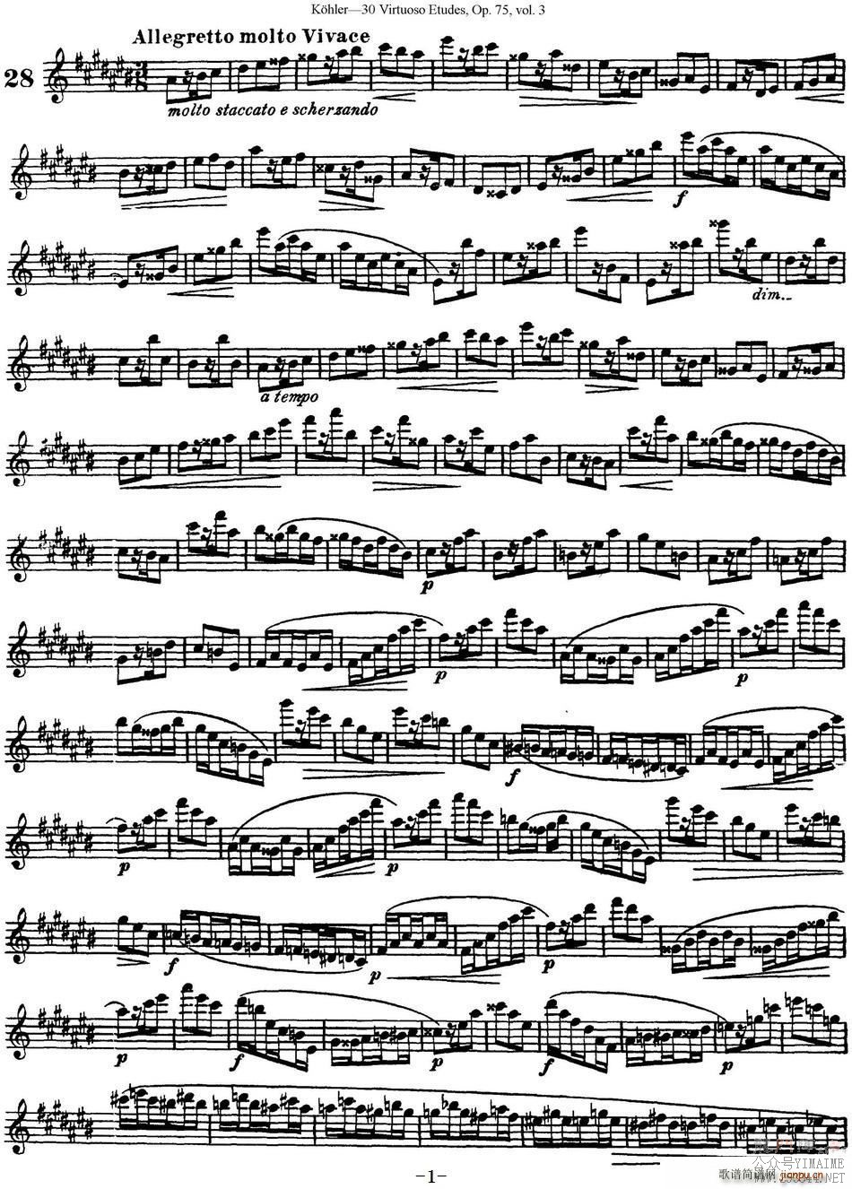 ����30�׸߼�������ϰ����Ʒ75�� NO 28(������)1
