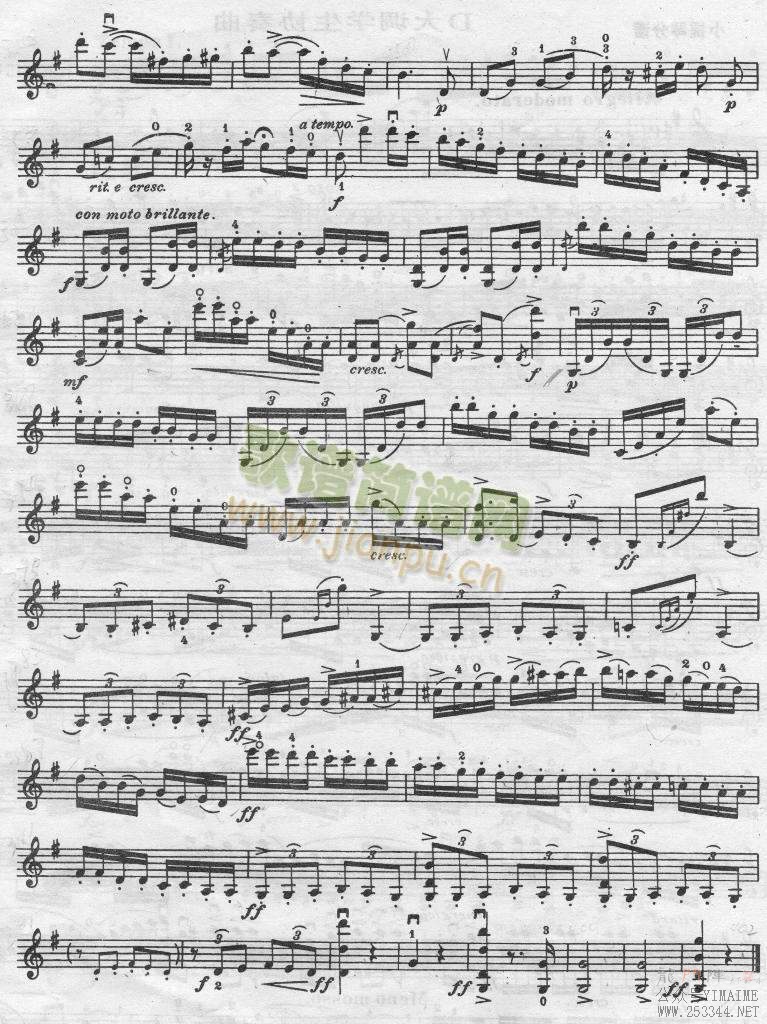 gСѧЭ()7