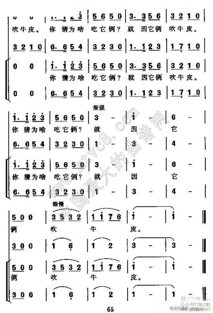 һ崵ţƤ ް ϳ(ϳ)5