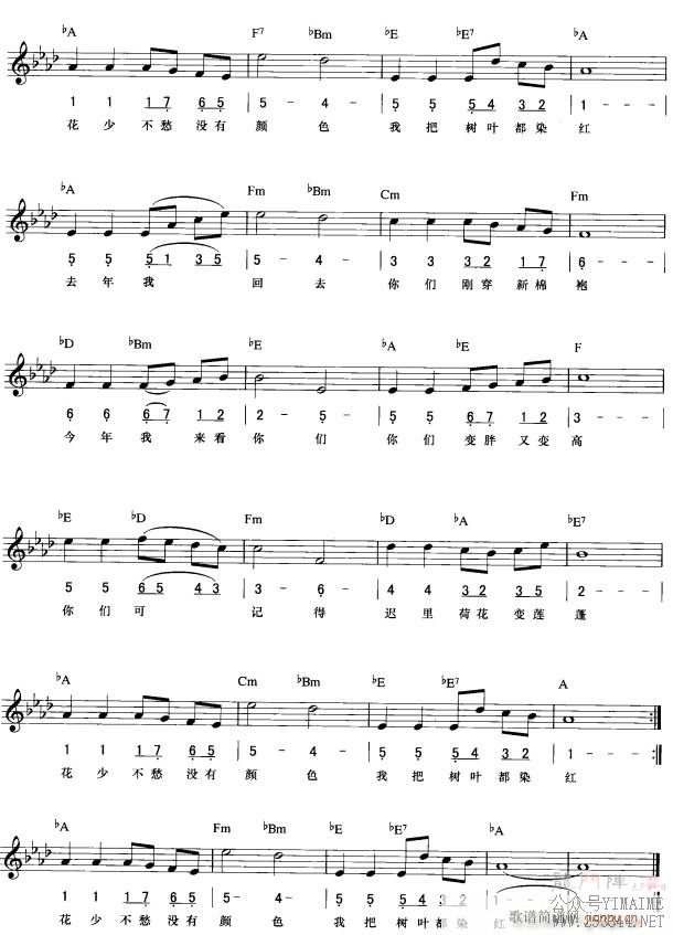 ����Ļ� ���ߵ��� 2(��������)1