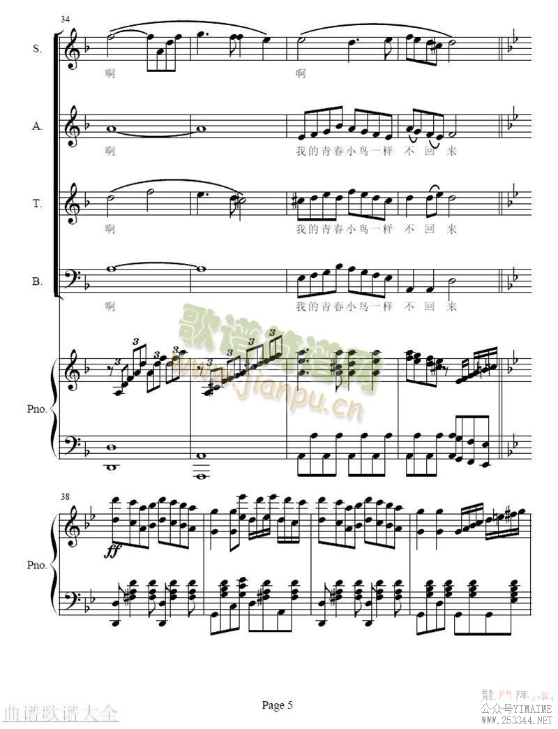�ഺ����(����)5