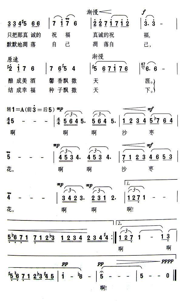 ���˵�ɳ�滨