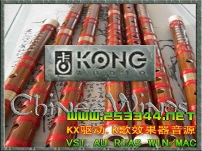 Kong Audio C Chinee Winds GIGԴ-йƷ