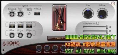 Kong Audio ChineeSuoNa VSTi v1.2йԴ