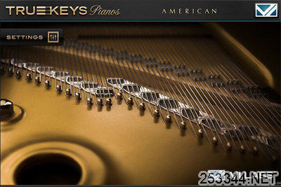 ¸ԴVI Labs Audio C True Keys American S (UVI Falcon)