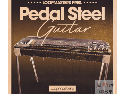 Loopmasters Pedal Steel Guitar MULTi-FORMAT-DISCOVER
