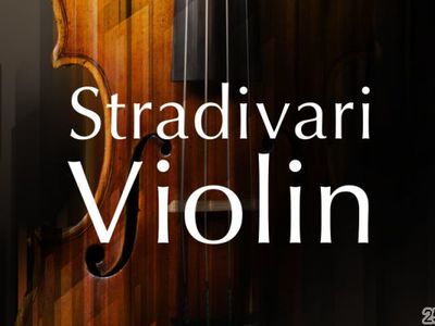 СԴNative InstrumentsCStradivari Violin 1.2.0 (KONTAKT)