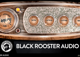 ѹ˲ʱBlack Rooster Audio The ALL Bundle 2.6.6ȫƵЧ Ŵ VST, AAXĺڼЧ