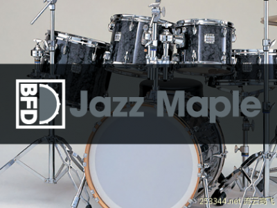 inMusic Brands C BFD Jazz Maple C Bonus Snare (BFD3)