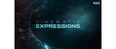 Boom Library C Cinematic Expressions (WAV) ȻɺڰĻɴ̶Ŀ Ӱﺭ˵Ӱȫ󣬰֮