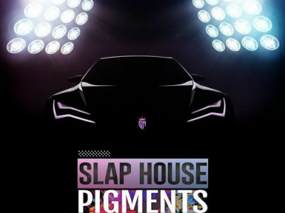 Sound Mafia C Slap House Pigments- WAV PresetsĽͬѭõĽģõĵִﵽ